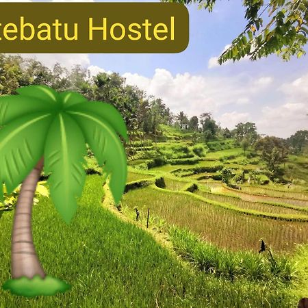 Tetebatu Hostel Exteriér fotografie