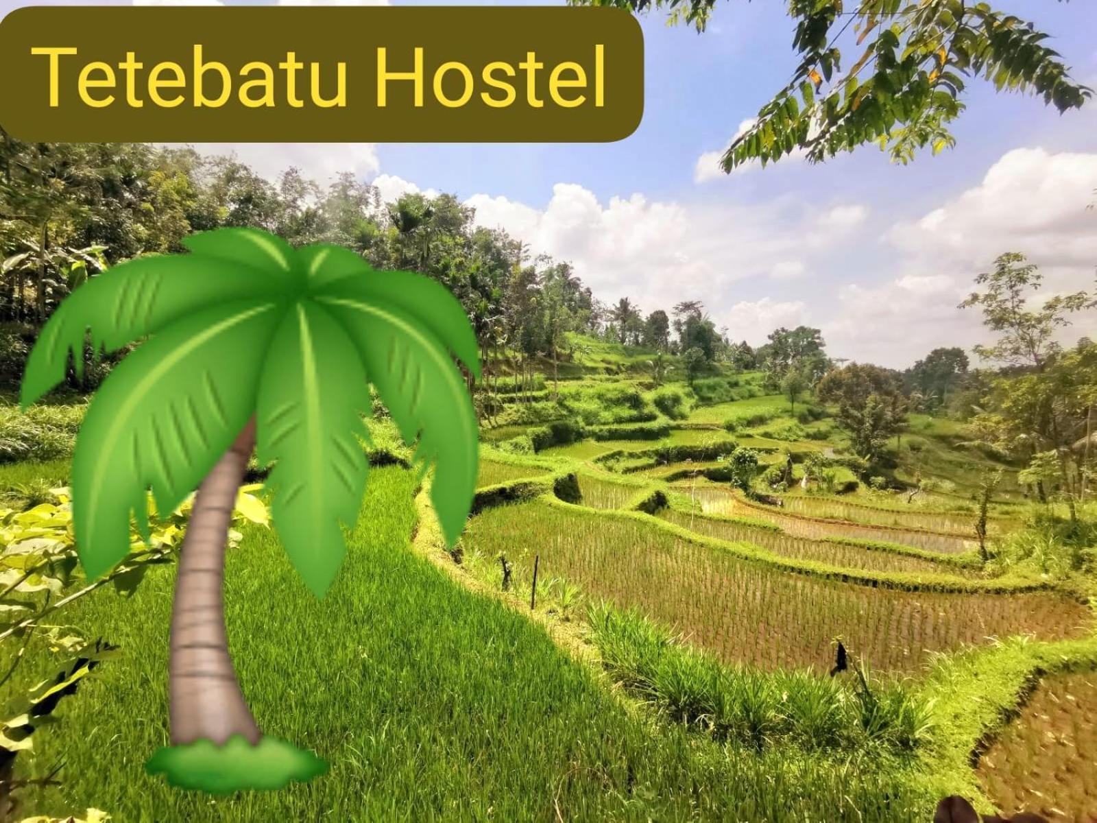 Tetebatu Hostel Exteriér fotografie