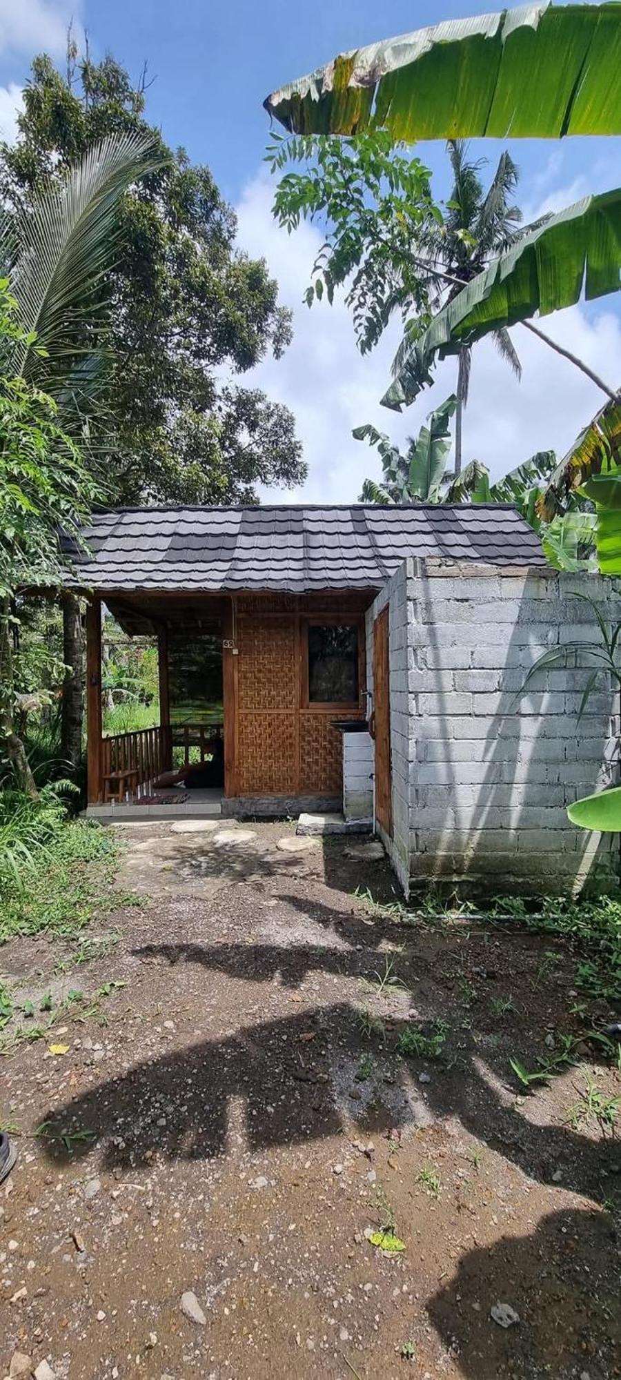 Tetebatu Hostel Pokoj fotografie